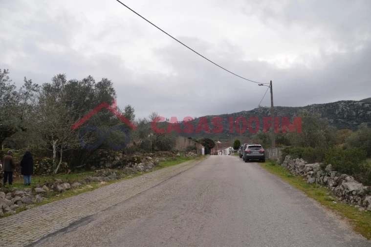 Terreno para Venda em Alvados e Alcaria Foto 11
