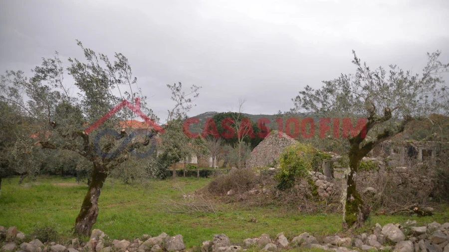 Terreno para Venda em Alvados e Alcaria