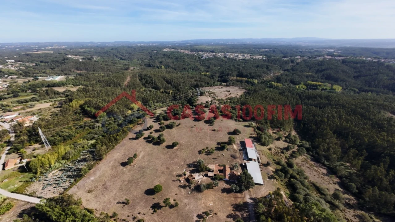 Terreno para Venda em Souto da Carpalhosa e Ortigosa Foto 1