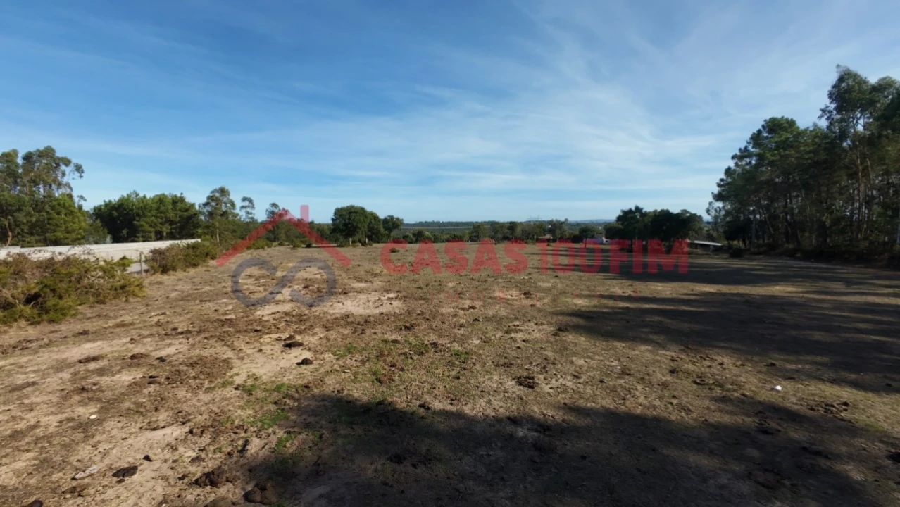 Terreno para Venda em Souto da Carpalhosa e Ortigosa Foto 5