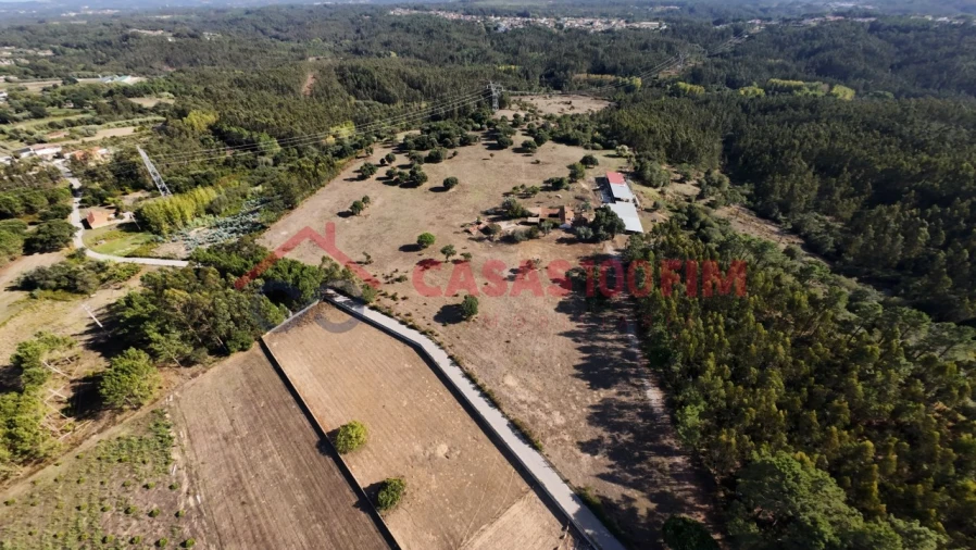 Terreno para Venda em Souto da Carpalhosa e Ortigosa Foto 3