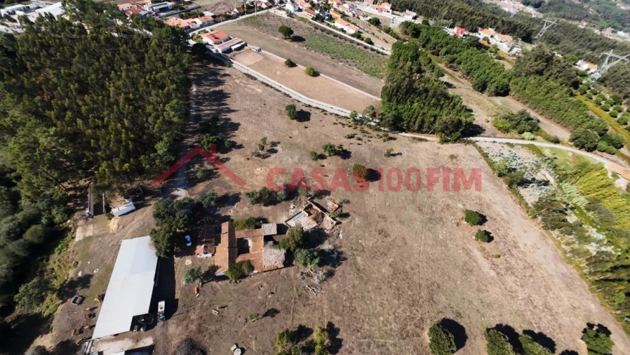 Terreno para Venda em Souto da Carpalhosa e Ortigosa Foto 6