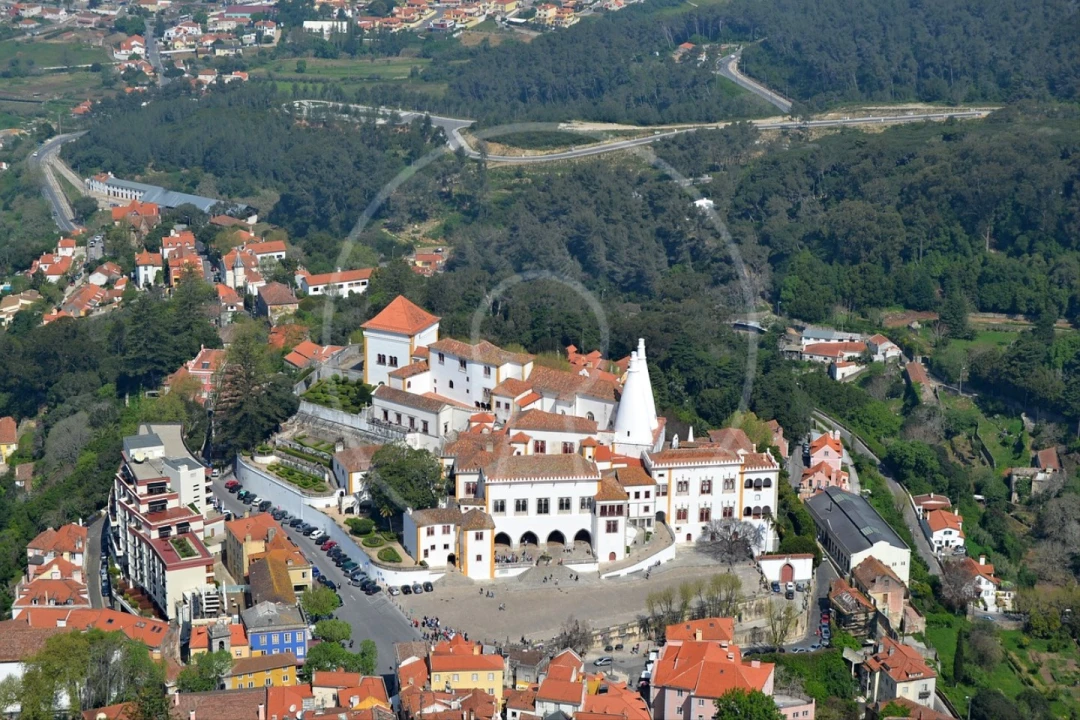 Terreno para Venda em Santa Maria e São Miguel, São Martinho, São Pedro Penaferrim Foto 9