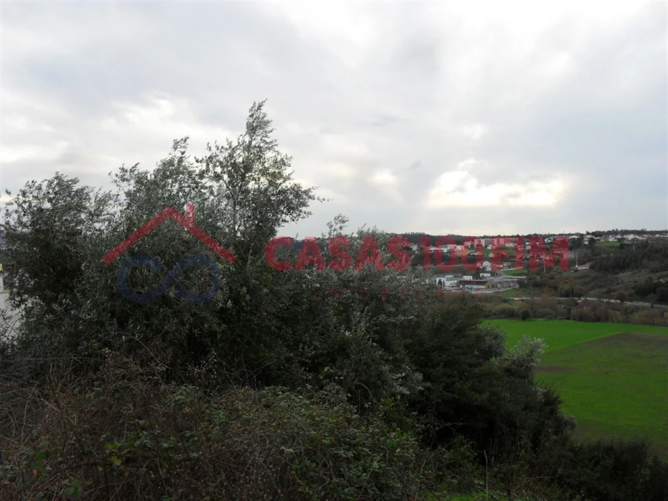 Terreno para Venda em Batalha Foto 4