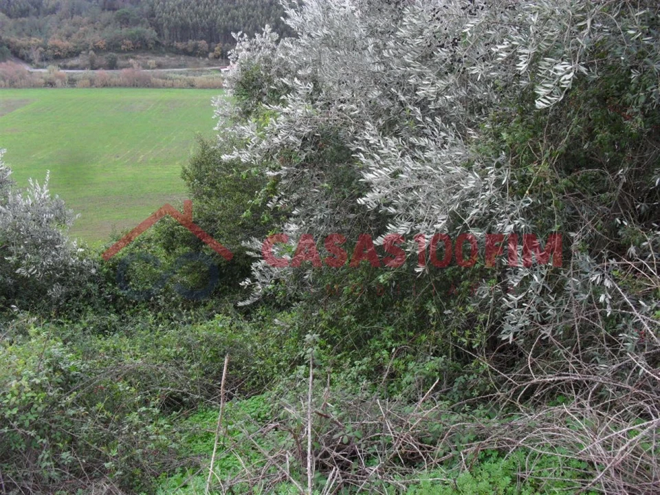 Terreno para Venda em Batalha Foto 5