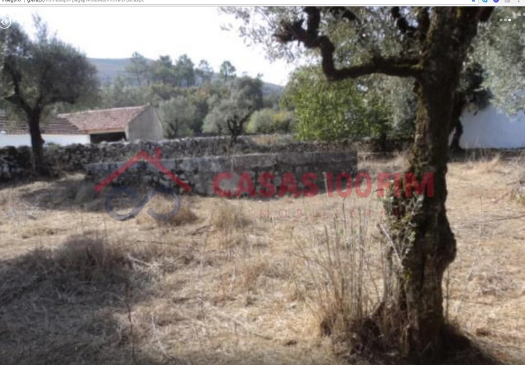 Terreno para Venda em Arrimal e Mendiga Foto 3