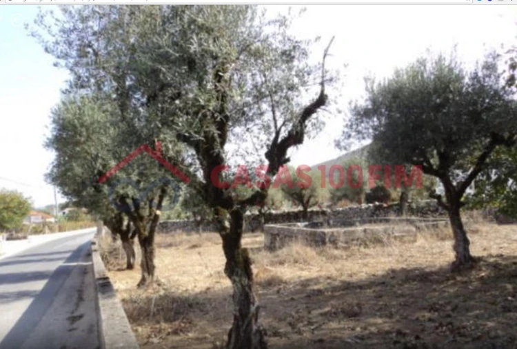 Terreno para Venda em Arrimal e Mendiga Foto 1