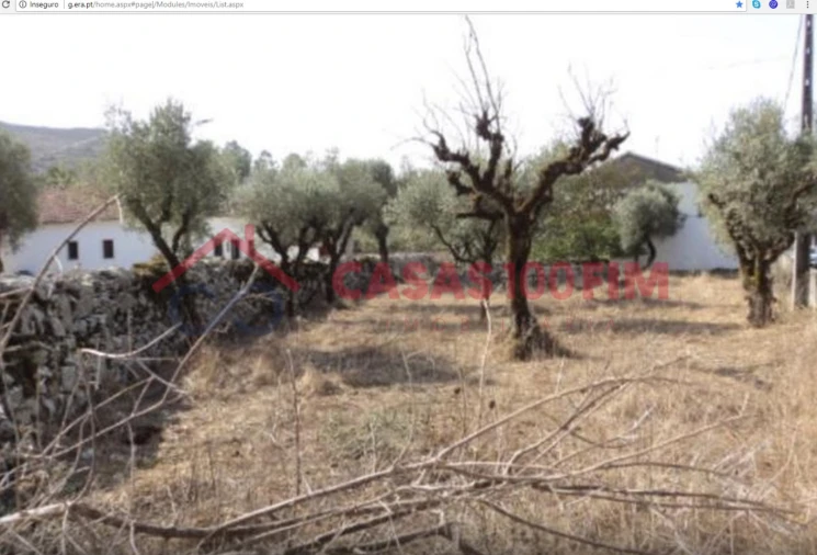 Terreno para Venda em Arrimal e Mendiga Foto 2