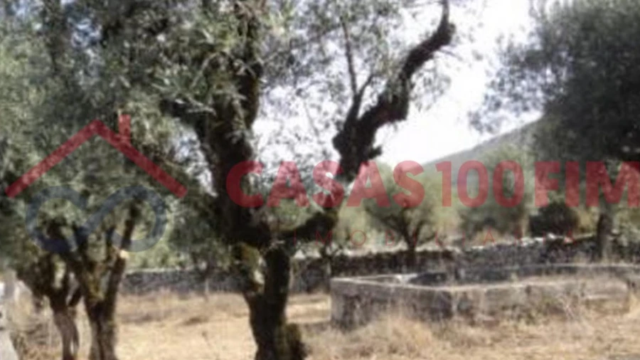 Terreno para Venda em Arrimal e Mendiga