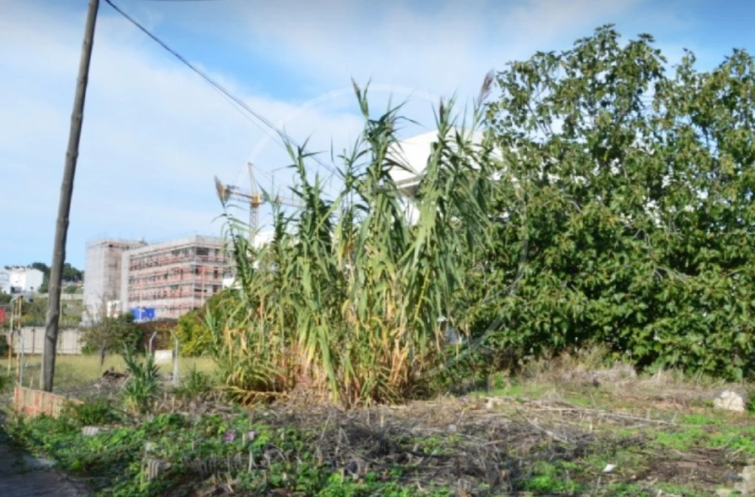 Terreno para Venda em Ajuda Foto 3