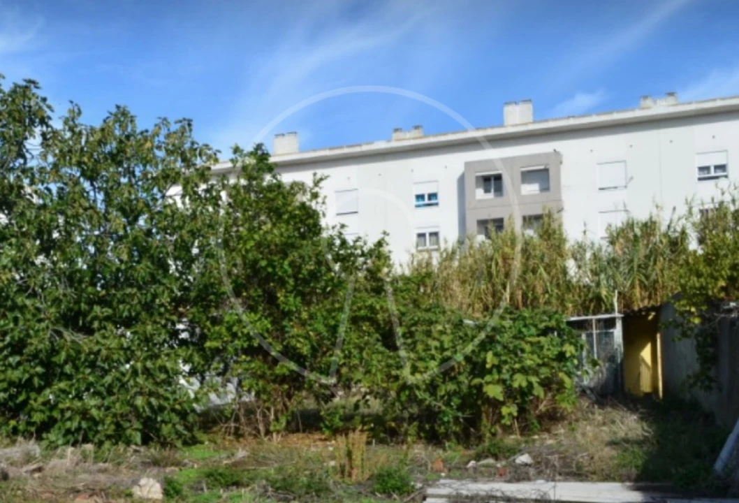 Terreno para Venda em Ajuda Foto 4