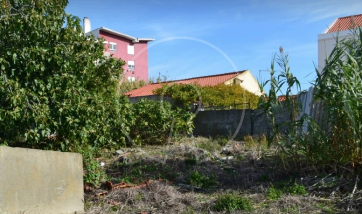 Terreno para Venda em Ajuda Foto 8