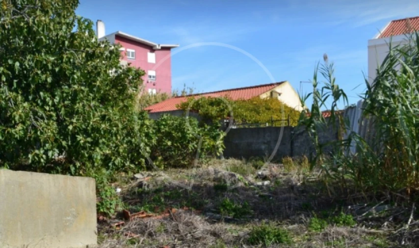 Terreno para Venda em Ajuda Foto 8