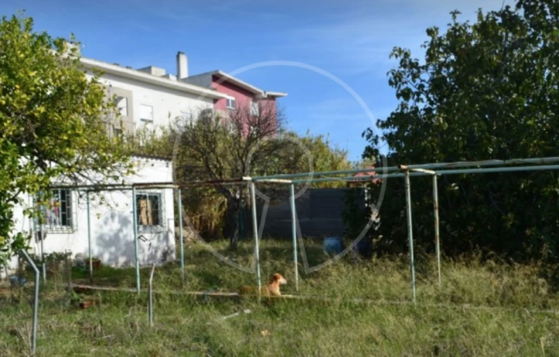 Terreno para Venda em Ajuda Foto 9