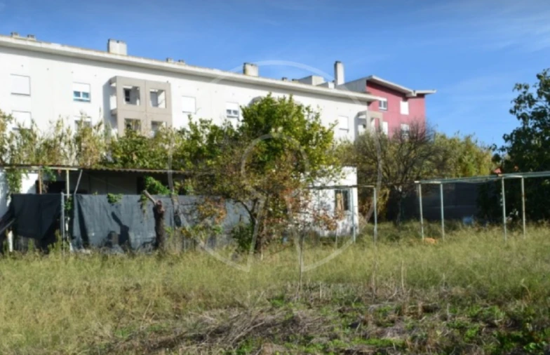 Terreno para Venda em Ajuda Foto 10