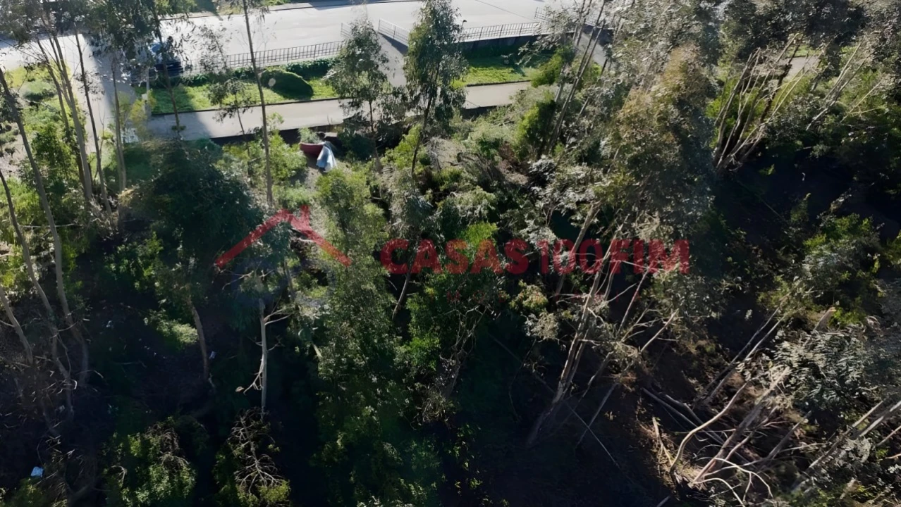 Terreno para Venda em Leiria, Pousos, Barreira e Cortes Foto 6