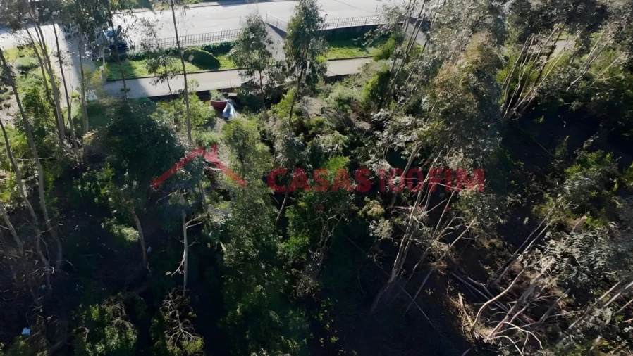 Terreno para Venda em Leiria, Pousos, Barreira e Cortes Foto 6
