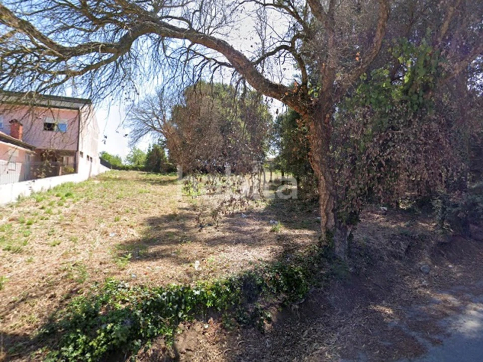 Terreno para Venda em Fiães Foto 3