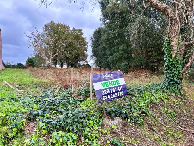 Terreno para Venda em Fiães Foto 2
