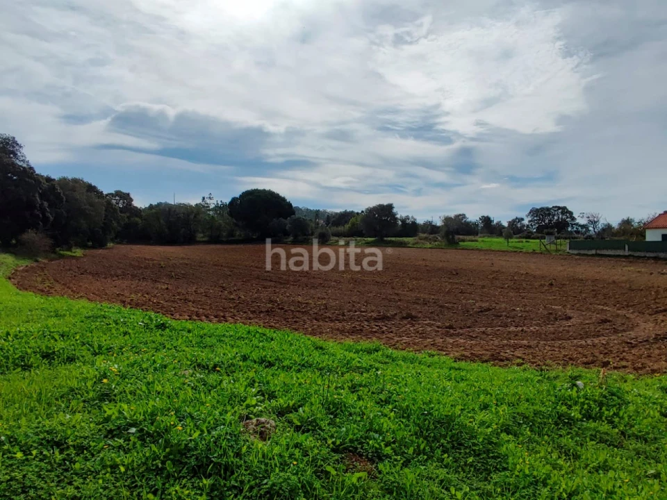 Terreno para Venda em Carvalhal Foto 2