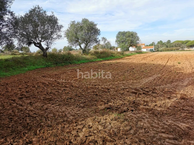 Terreno para Venda em Carvalhal Foto 6