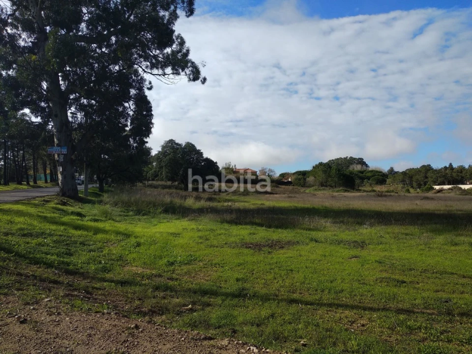 Terreno para Venda em Sesimbra (Castelo) Foto 4