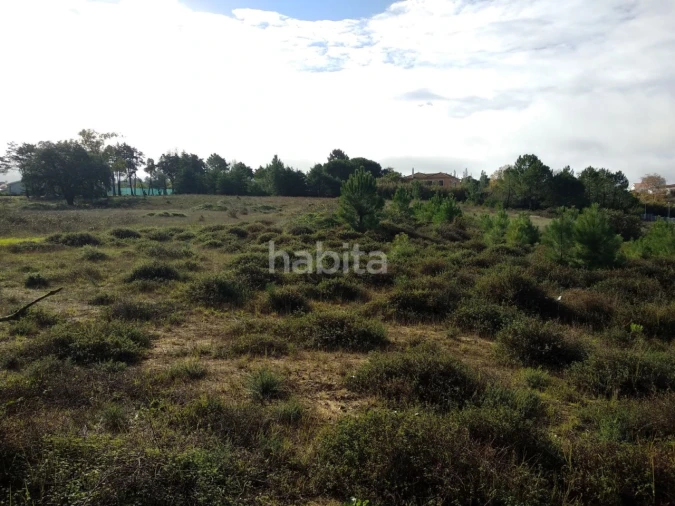 Terreno para Venda em Sesimbra (Castelo) Foto 5