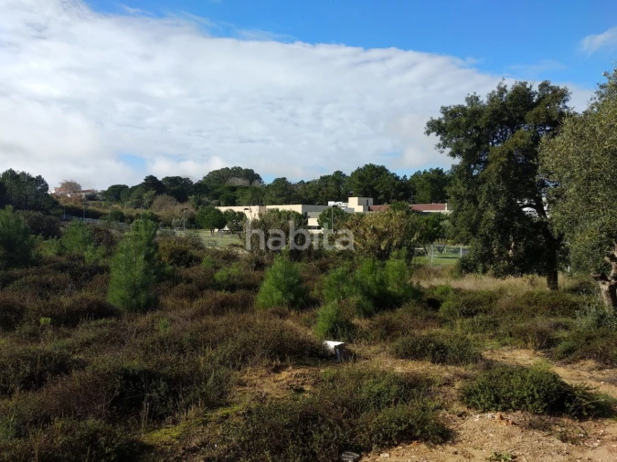 Terreno para Venda em Sesimbra (Castelo) Foto 6