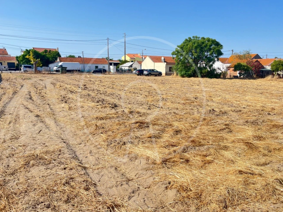 Terreno para Venda em Sarilhos Grandes Foto 3