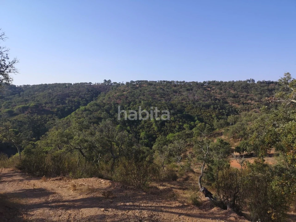 Terreno para Venda em Melides Foto 1