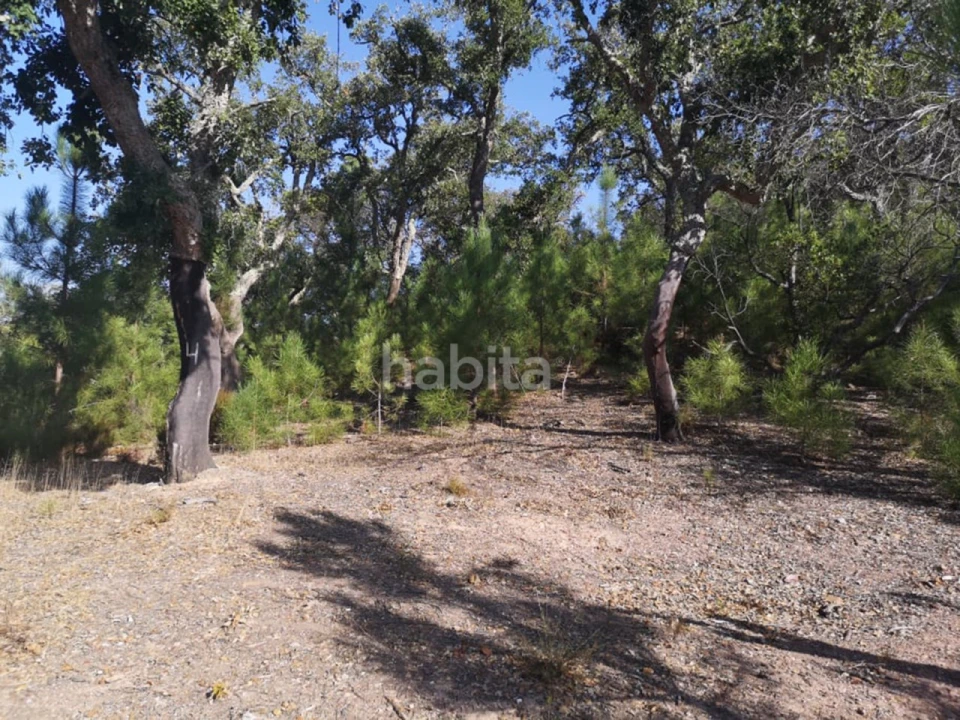 Terreno para Venda em Melides Foto 6