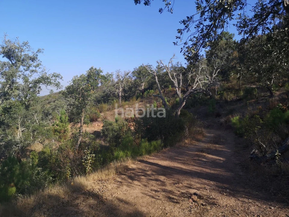 Terreno para Venda em Melides Foto 7