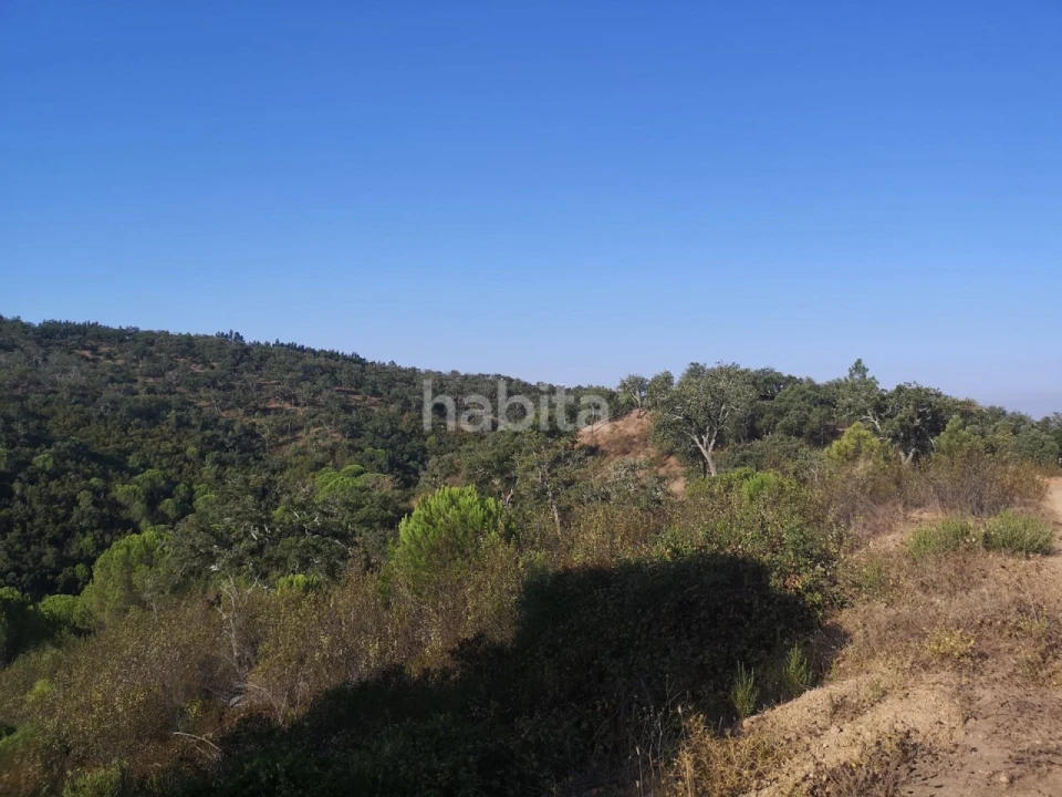 Terreno para Venda em Melides Foto 9