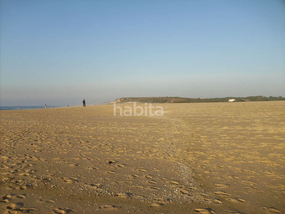 Terreno para Venda em Melides Foto 16
