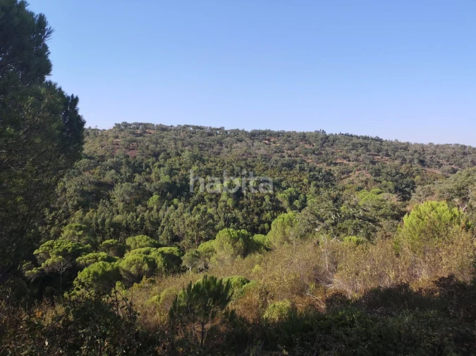 Terreno para Venda em Melides Foto 2
