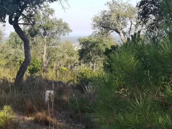 Terreno para Venda em Melides Foto 3