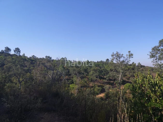 Terreno para Venda em Melides Foto 8