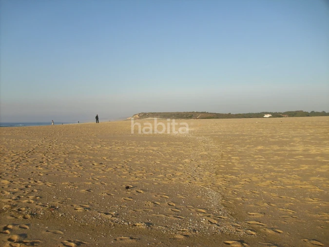 Terreno para Venda em Melides Foto 16