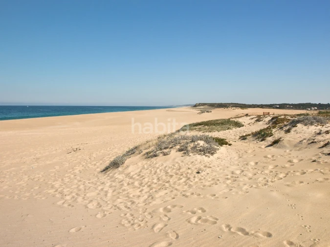 Terreno para Venda em Melides Foto 17