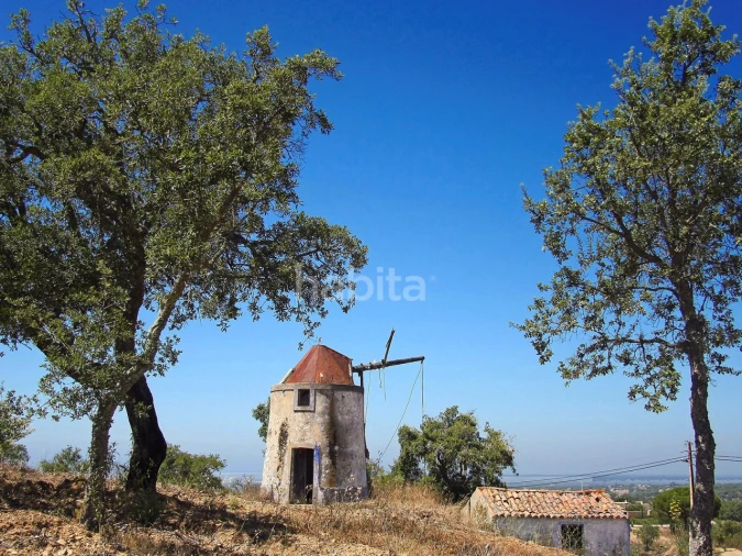 Terreno para Venda em Melides Foto 18