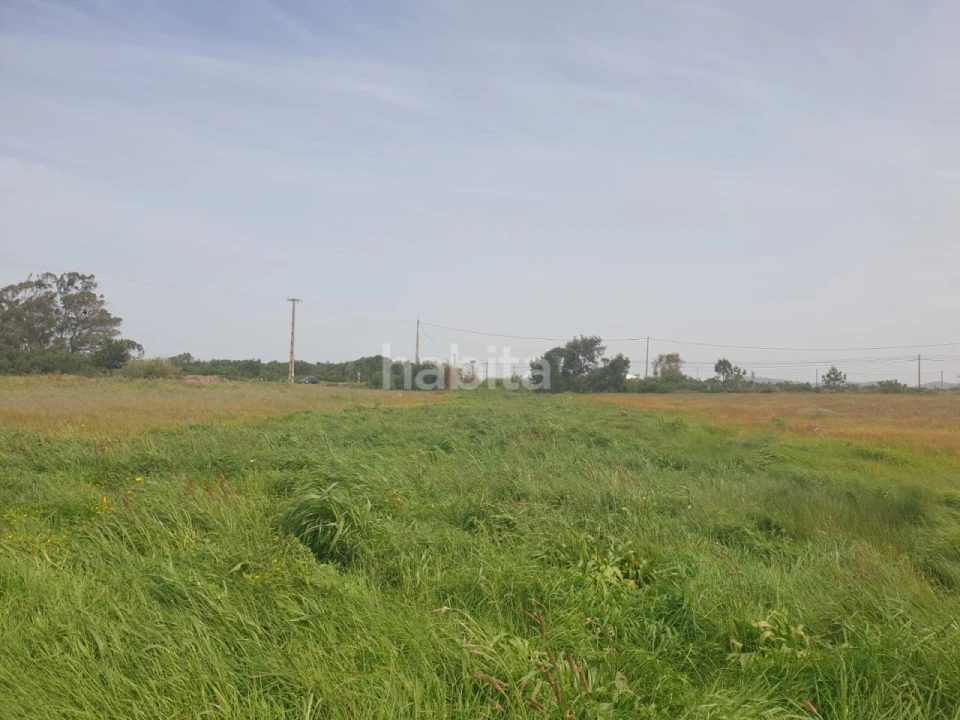 Terreno para Arrendamento em Longueira/Almograve Foto 5