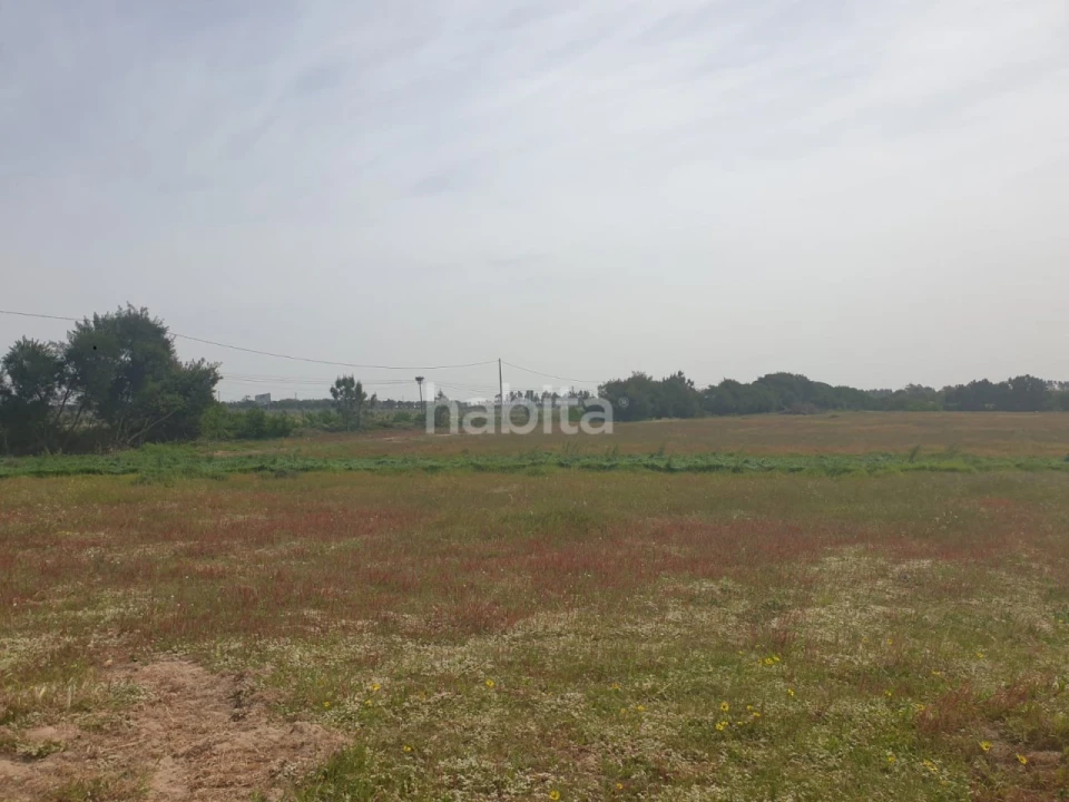 Terreno para Arrendamento em Longueira/Almograve Foto 7