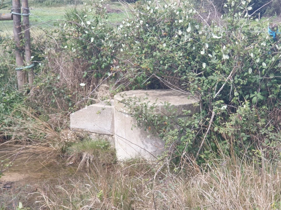 Terreno para Arrendamento em Longueira/Almograve Foto 13