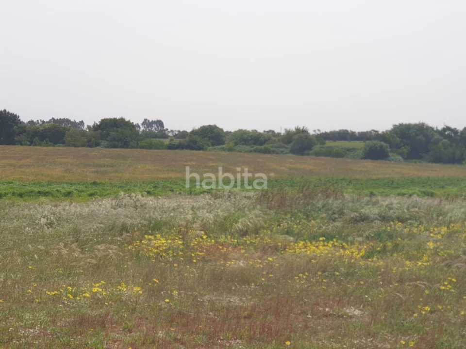 Terreno para Arrendamento em Longueira/Almograve Foto 14
