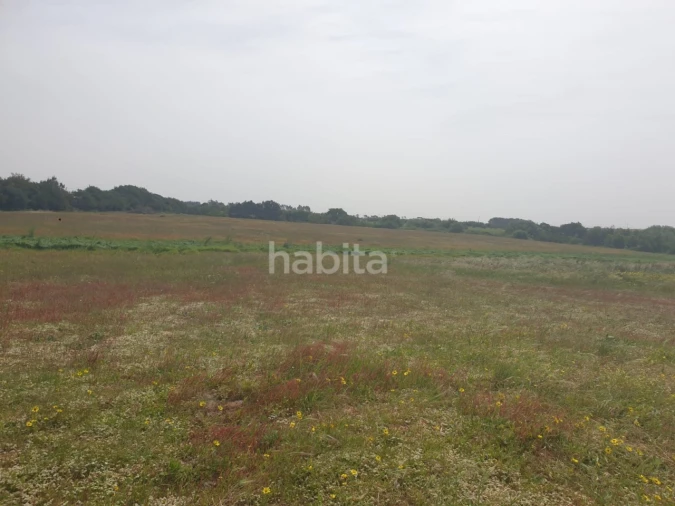 Terreno para Arrendamento em Longueira/Almograve Foto 6