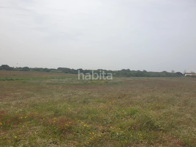 Terreno para Arrendamento em Longueira/Almograve Foto 10