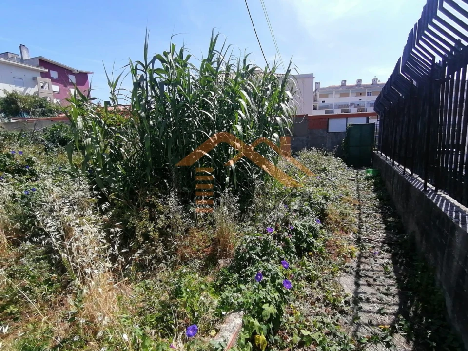 Terreno para Venda em Ajuda Foto 5