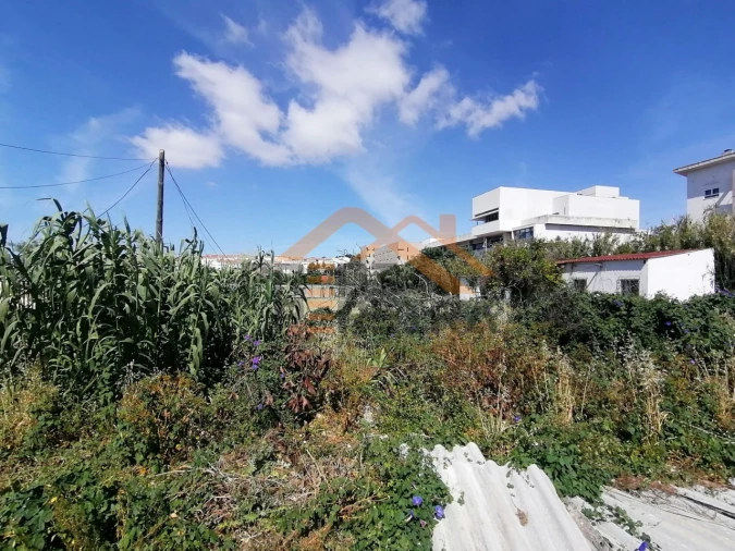 Terreno para Venda em Ajuda Foto 1