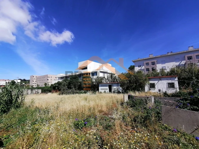 Terreno para Venda em Ajuda Foto 4