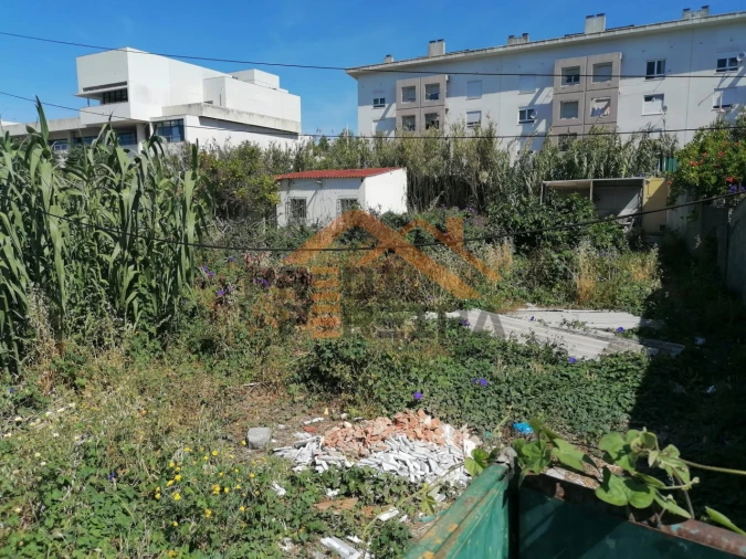 Terreno para Venda em Ajuda Foto 6